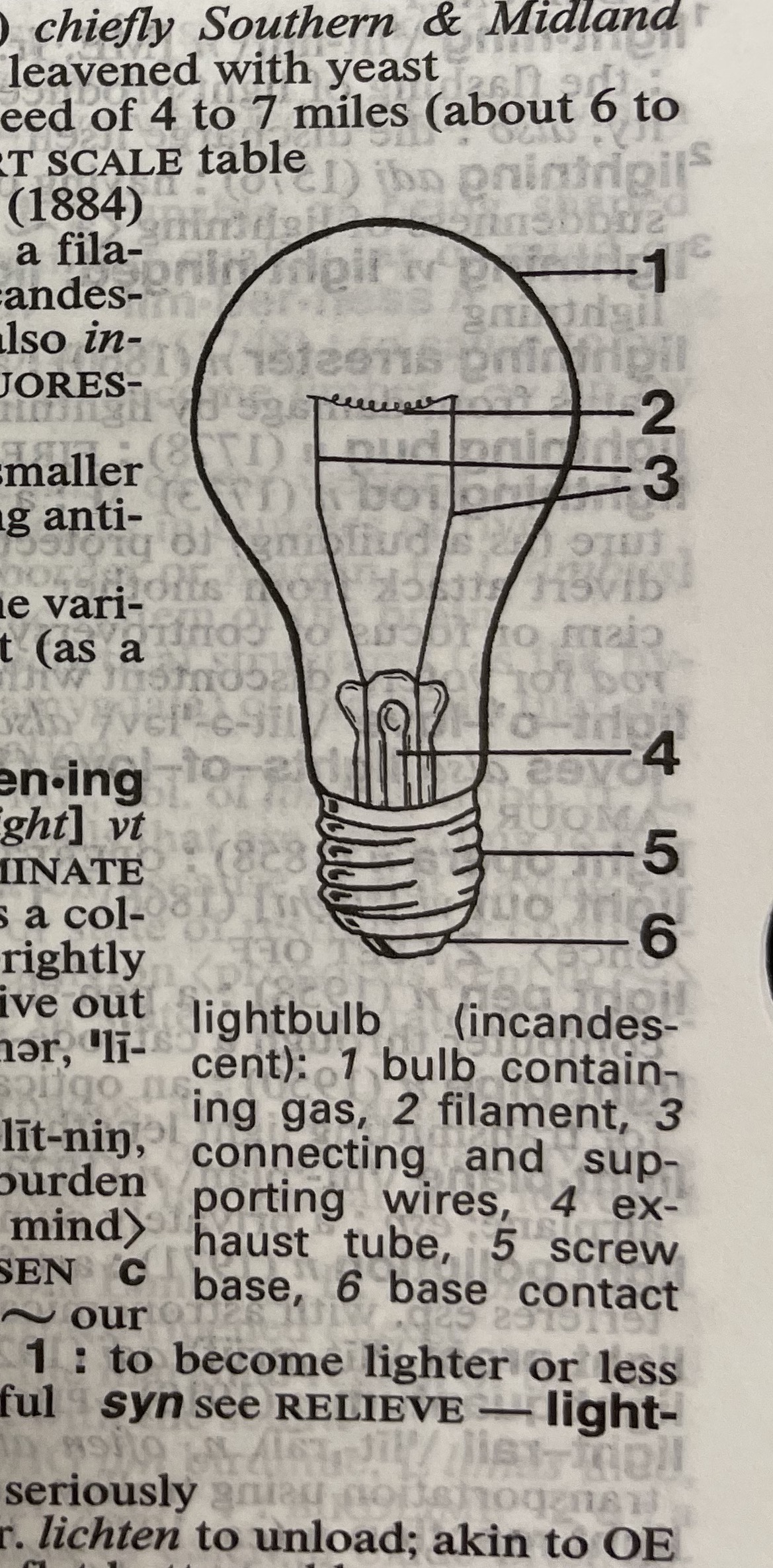 Dictionary illustration