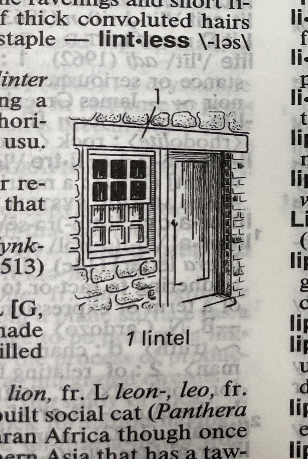 Dictionary illustration