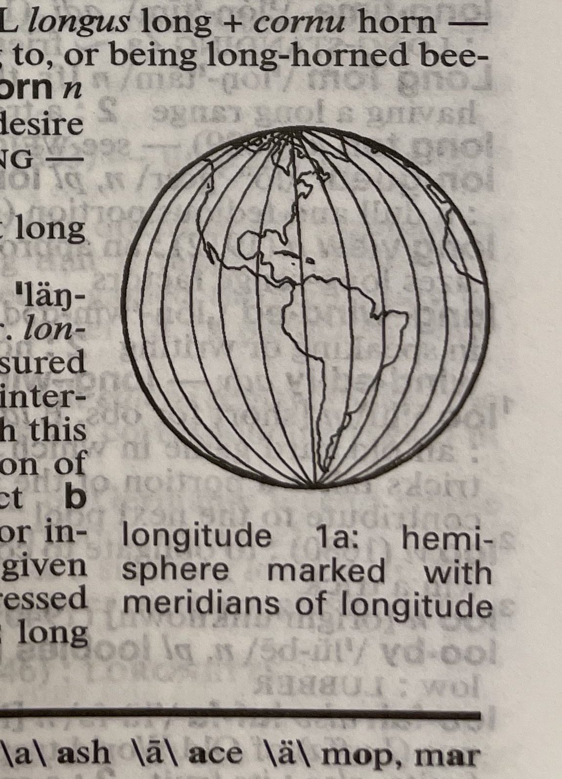 Dictionary illustration