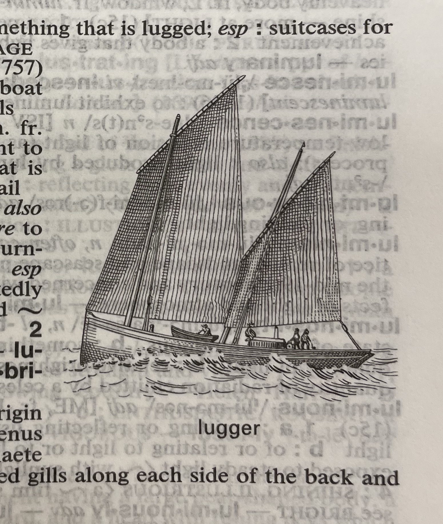 Dictionary illustration