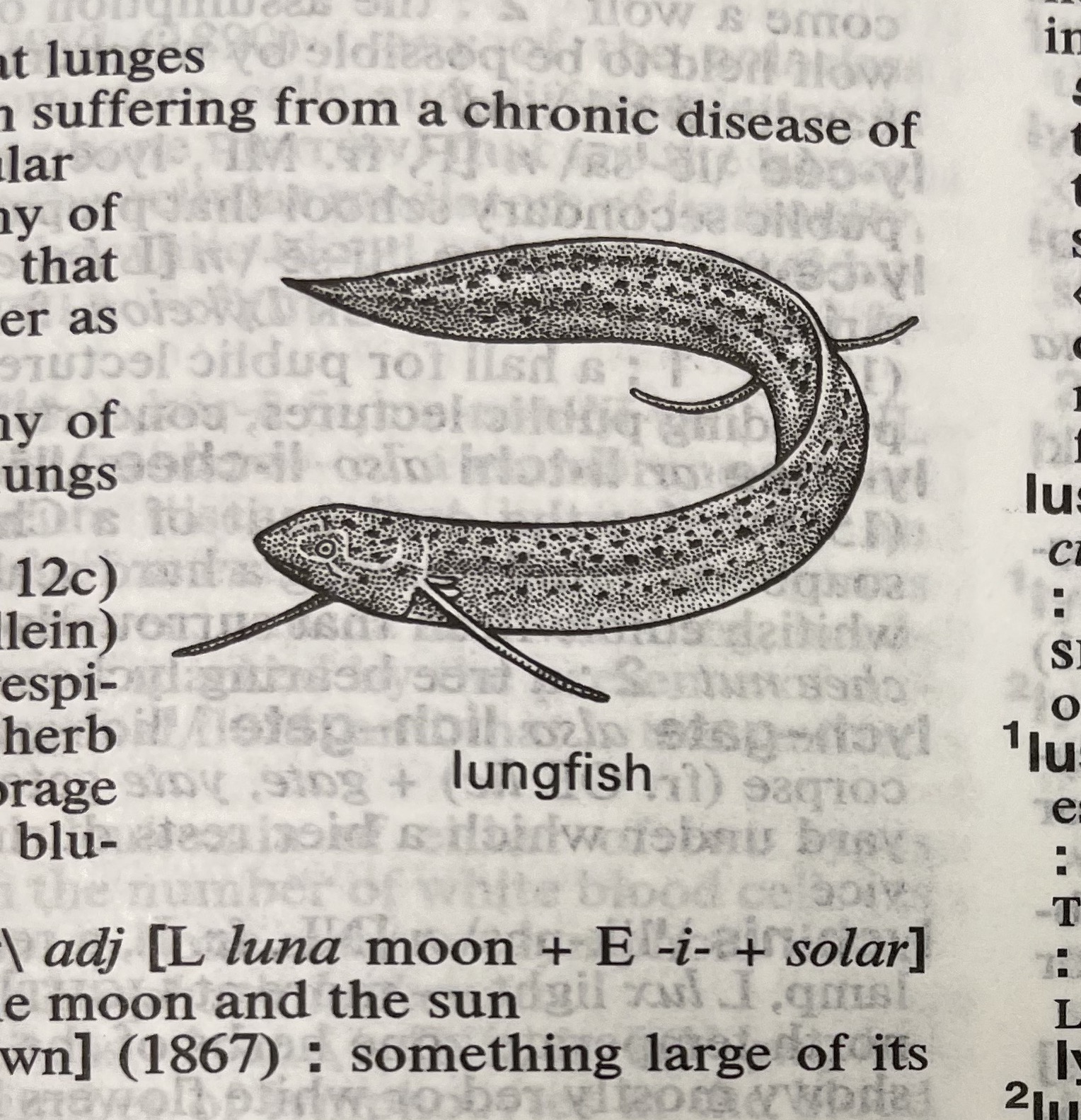 Dictionary illustration