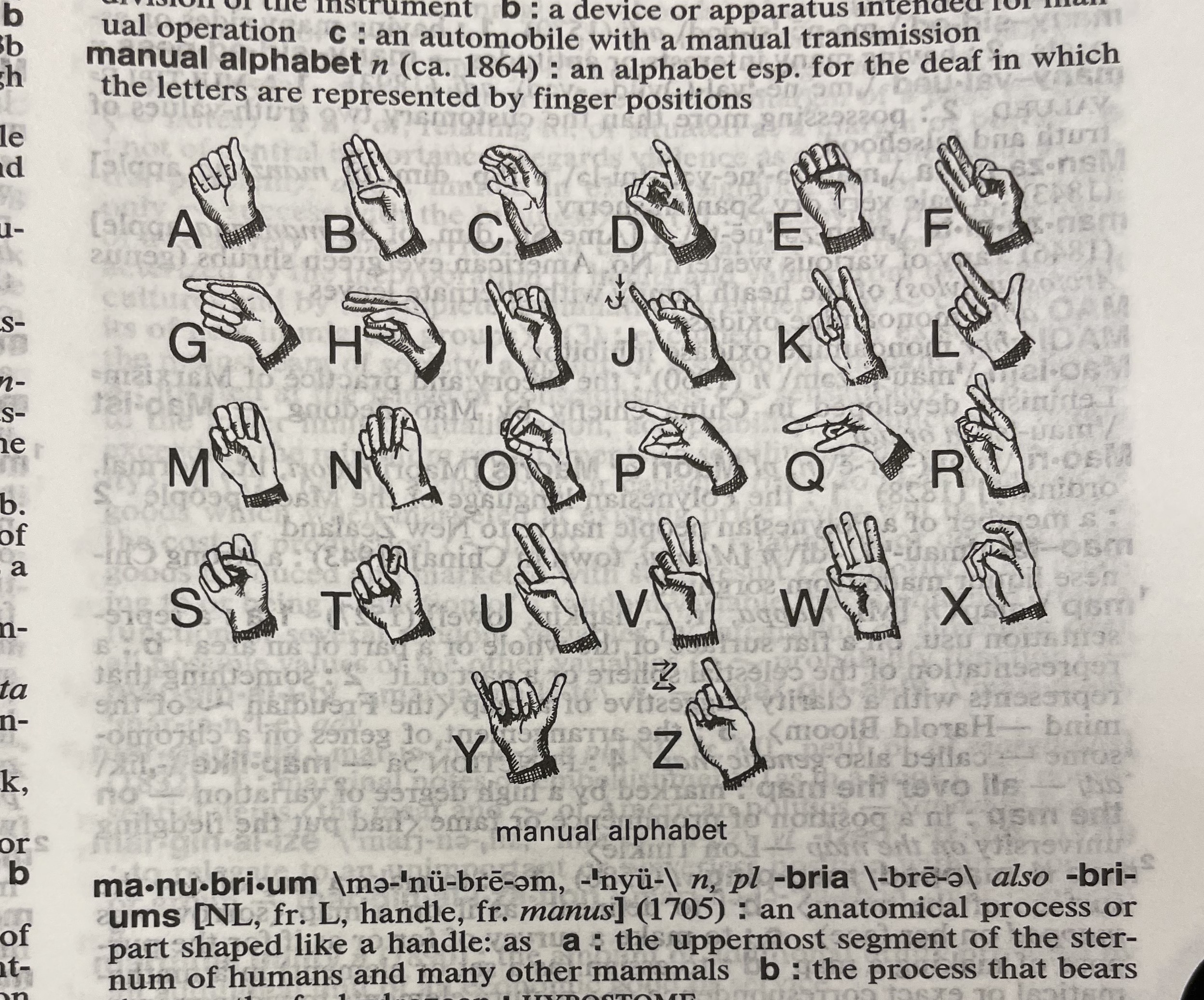 Dictionary illustration
