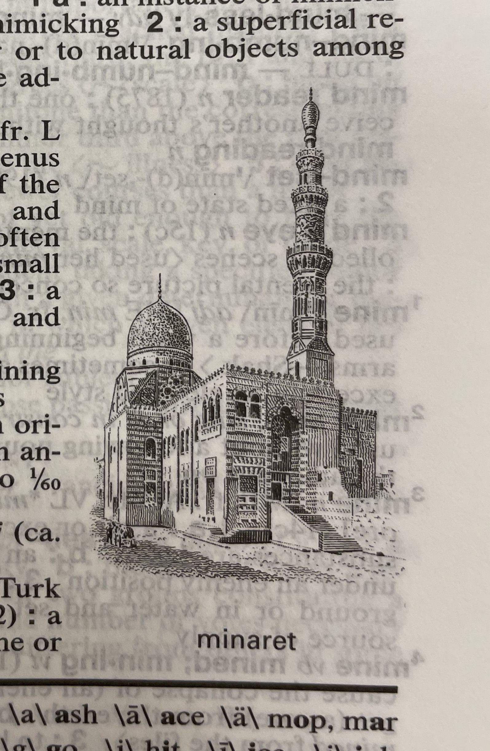 Dictionary illustration