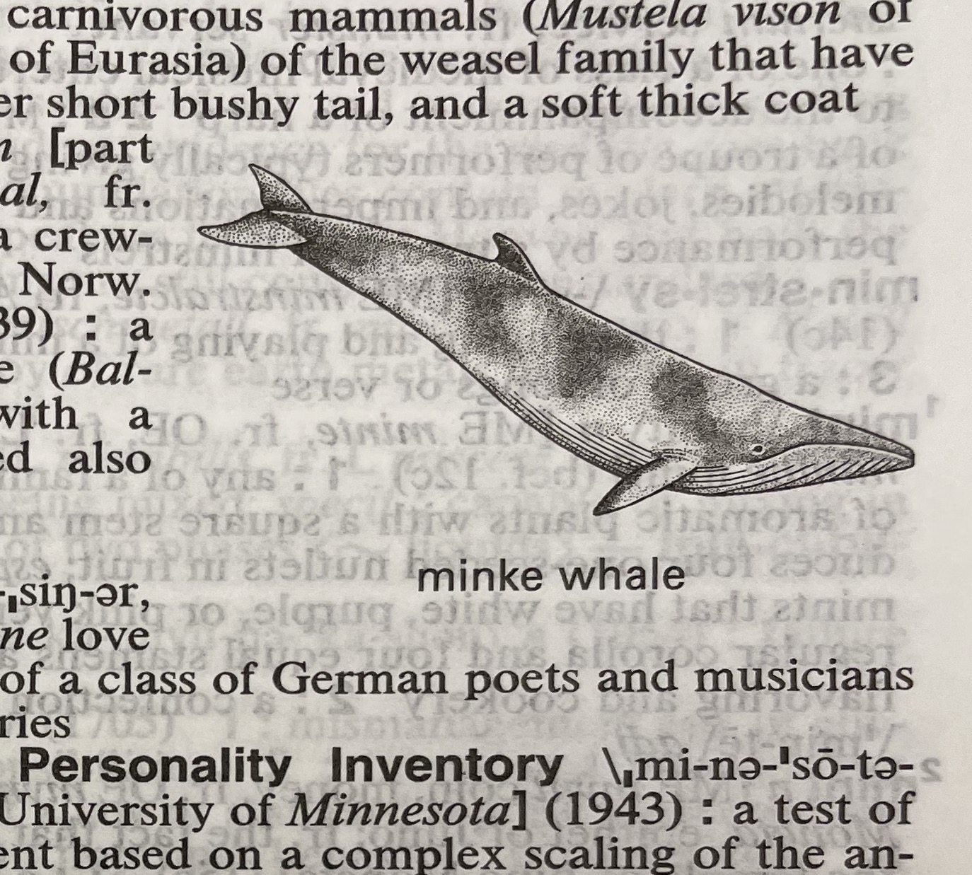 Dictionary illustration