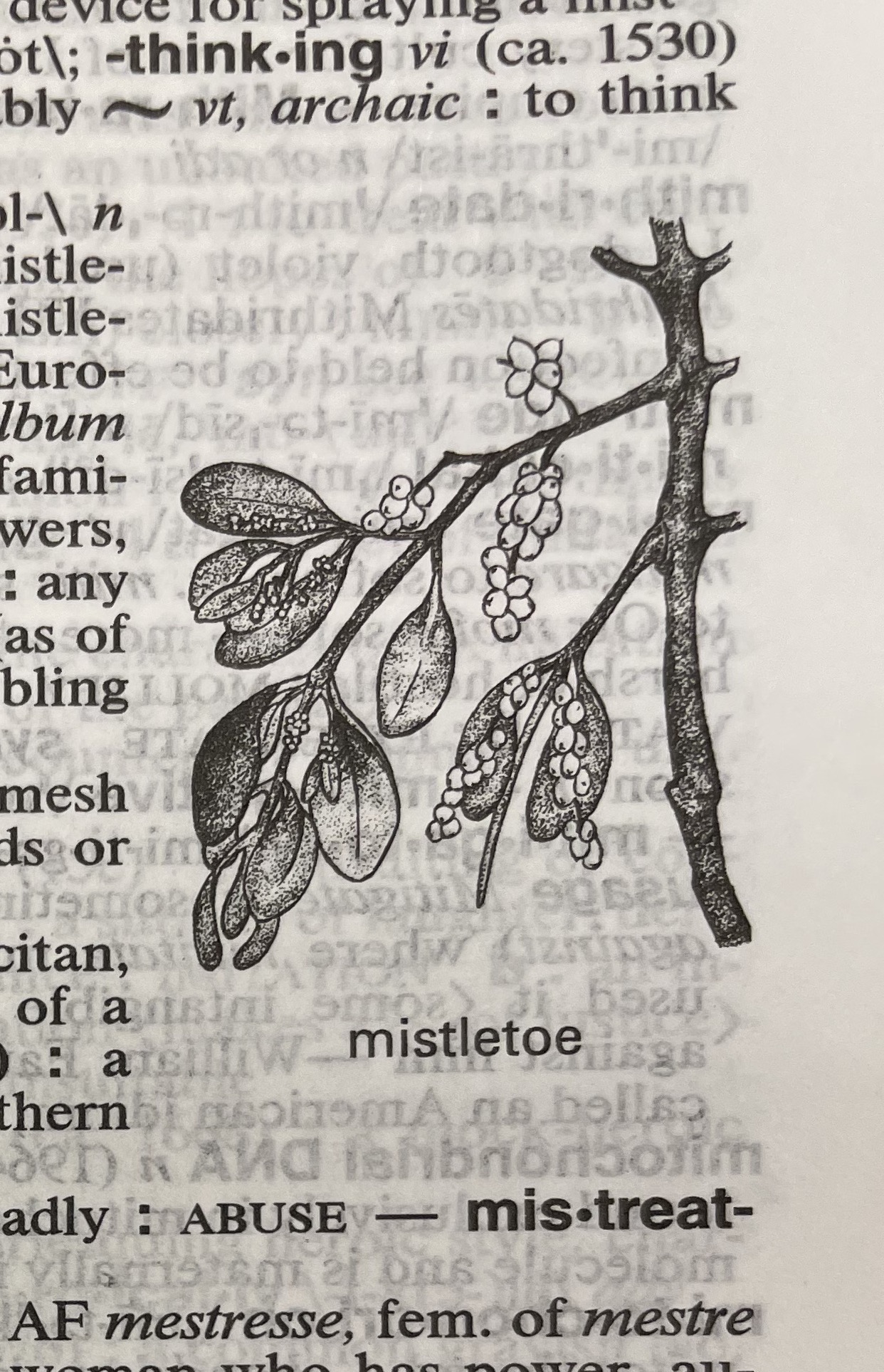Dictionary illustration