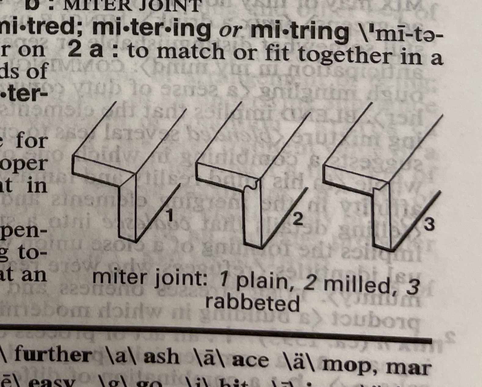 Dictionary illustration