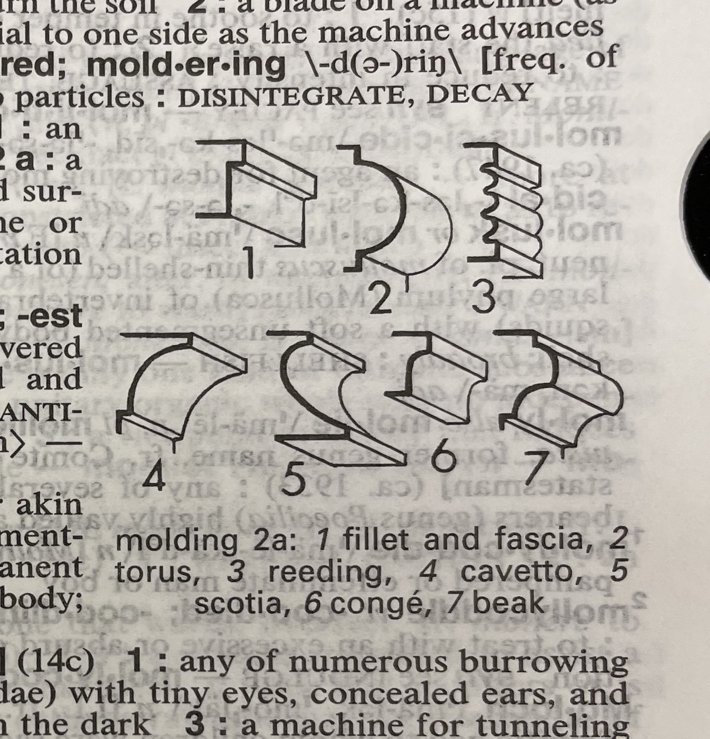 Dictionary illustration