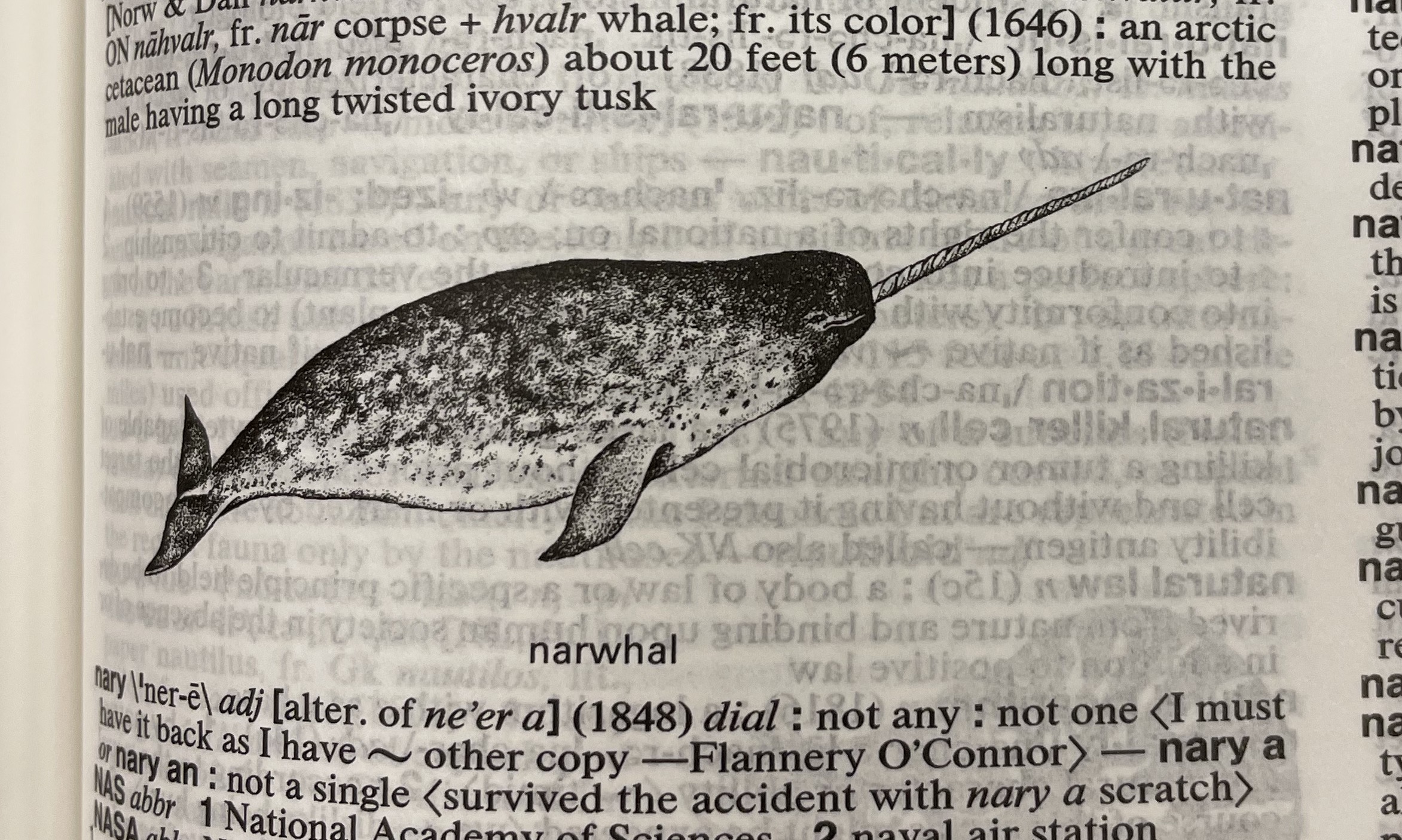 Dictionary illustration