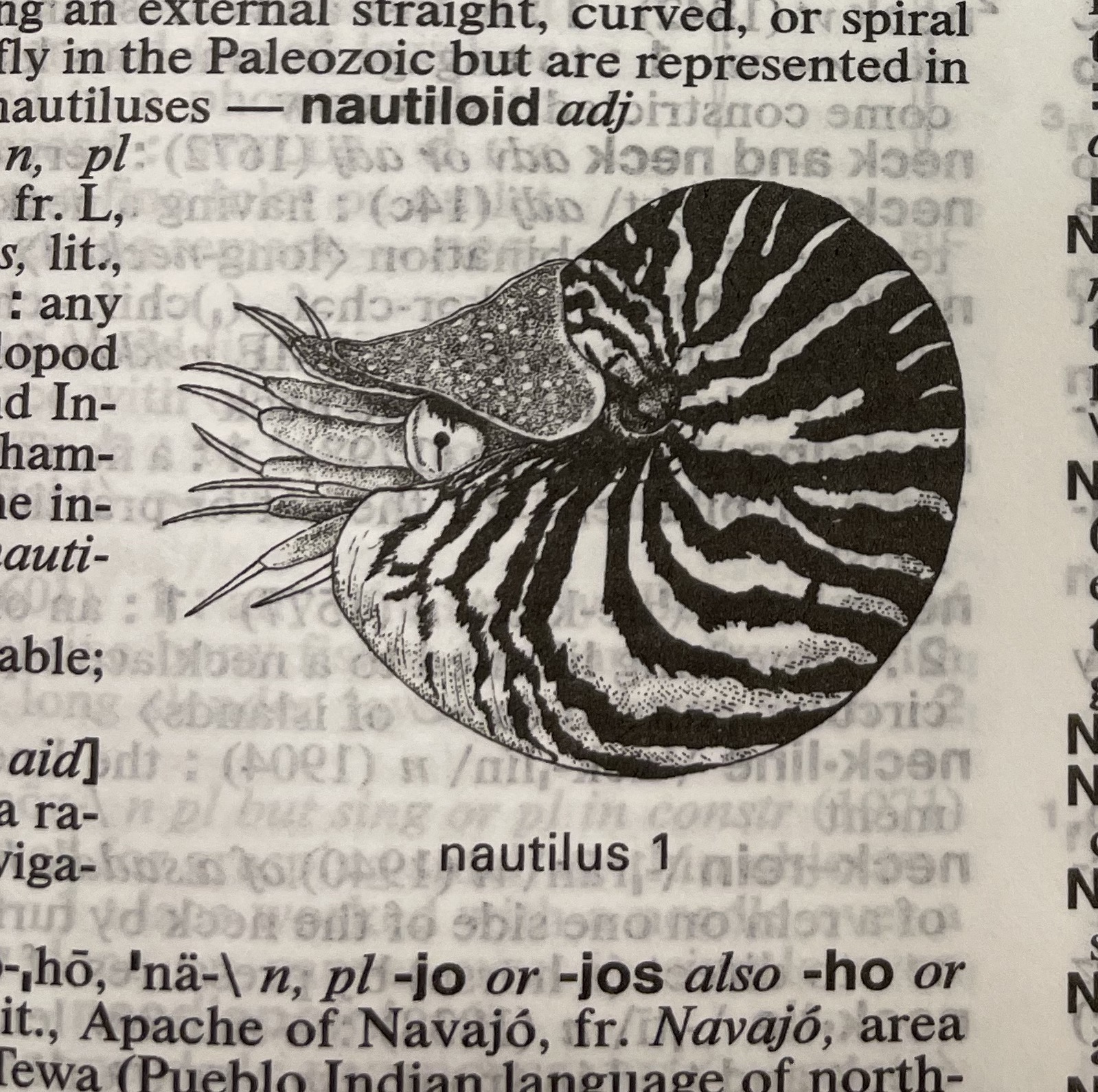 Dictionary illustration