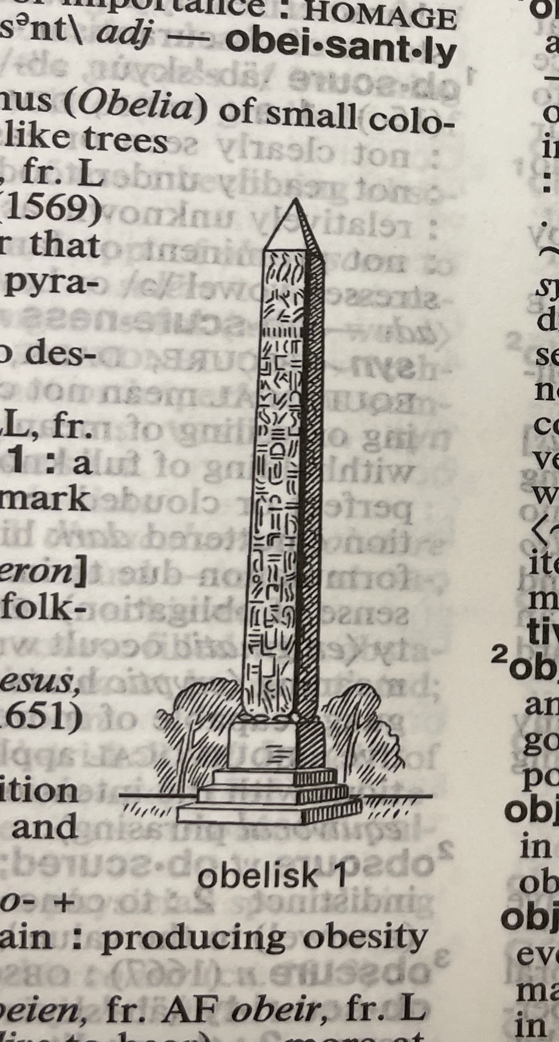 Dictionary illustration