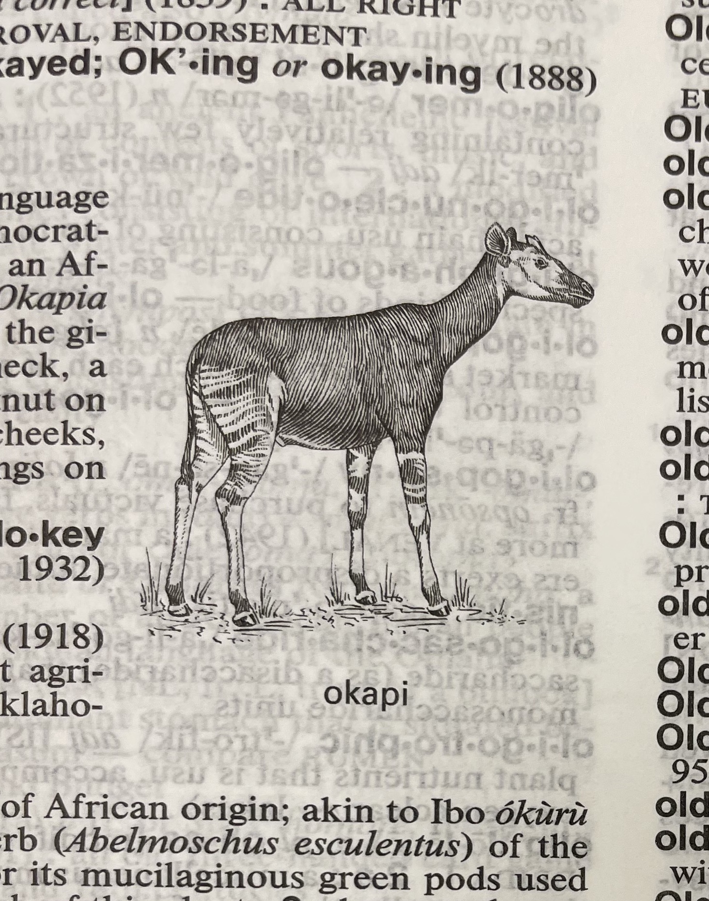 Dictionary illustration