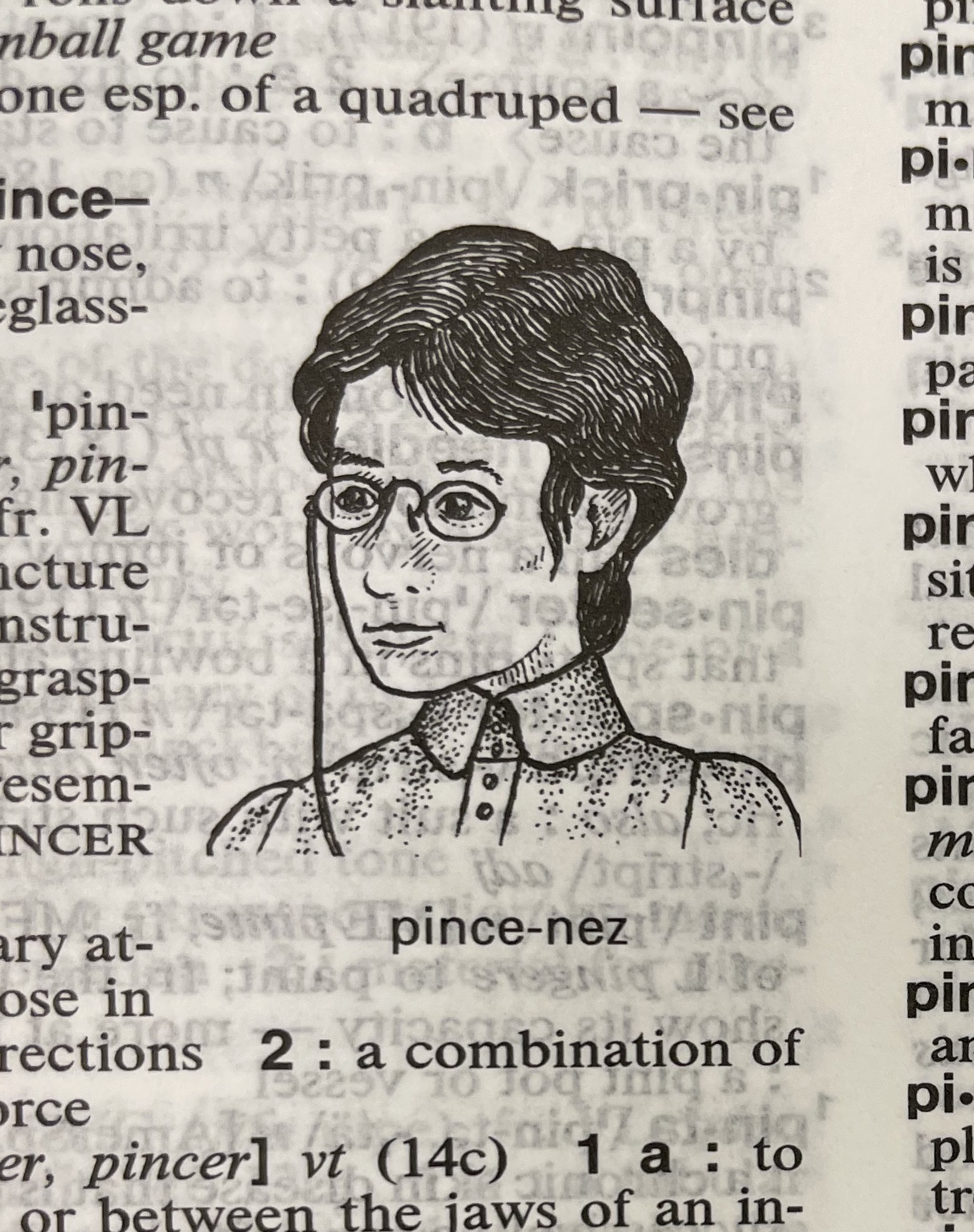 Dictionary illustration