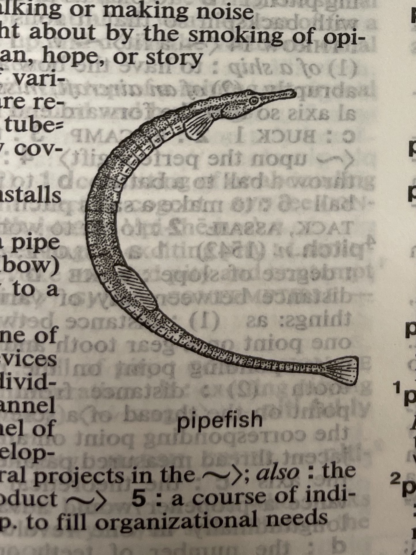 Dictionary illustration