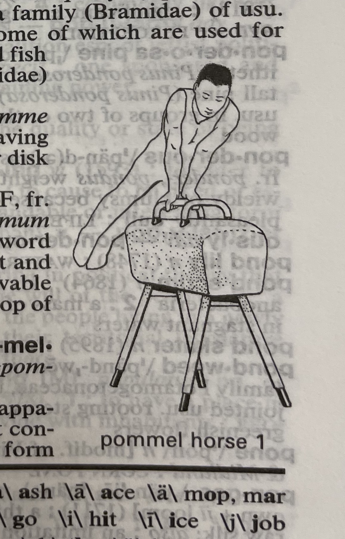 Dictionary illustration