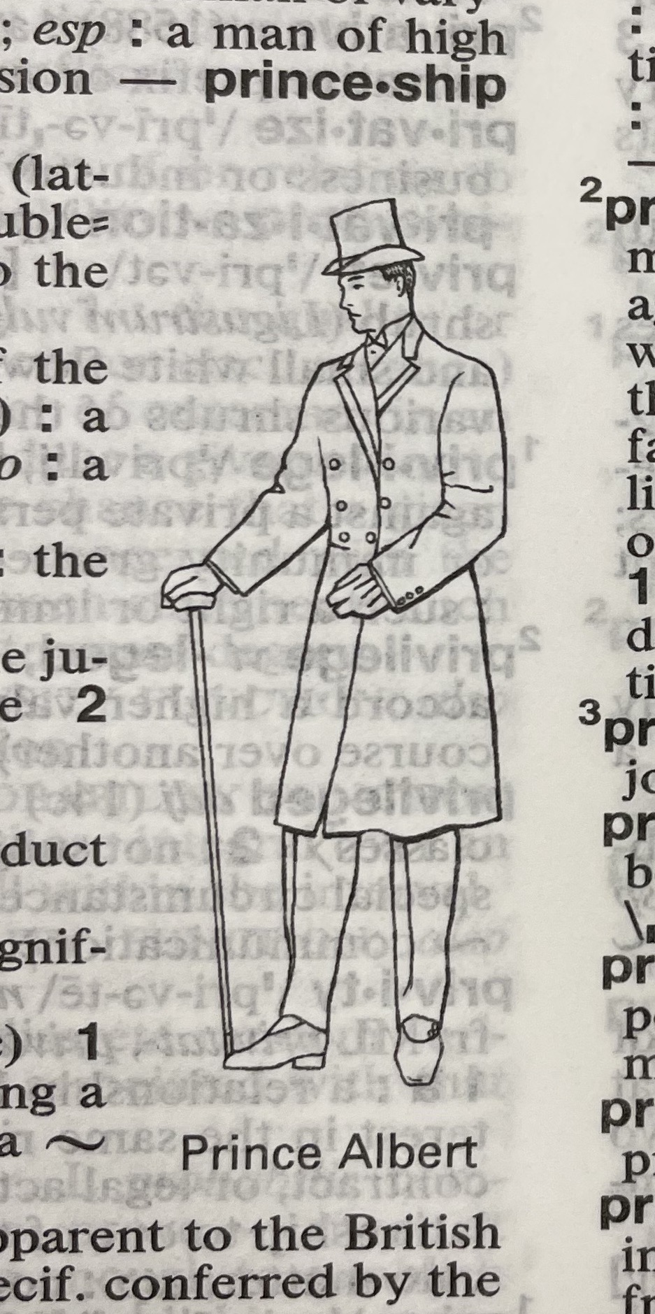 Dictionary illustration