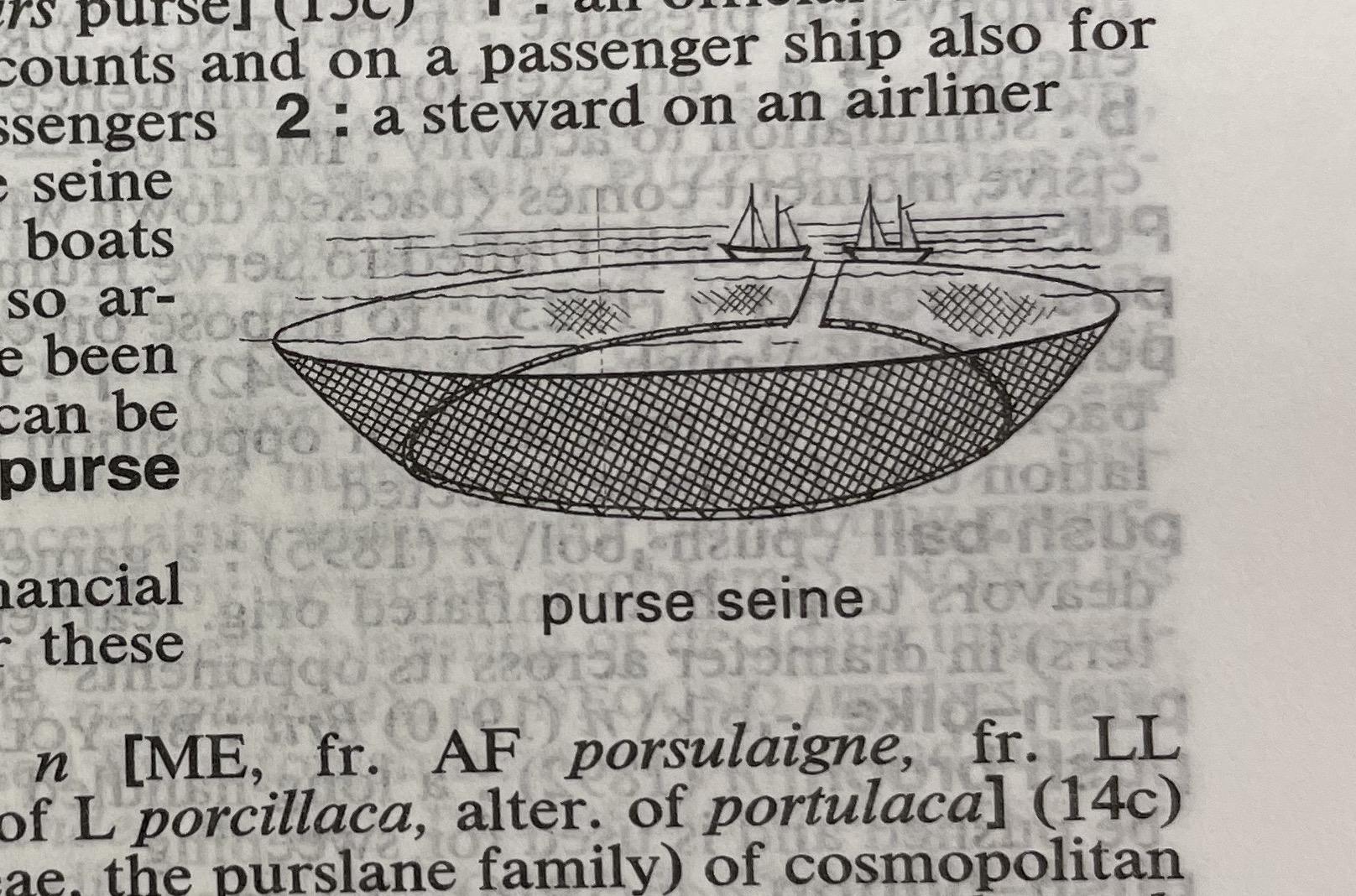 Dictionary illustration
