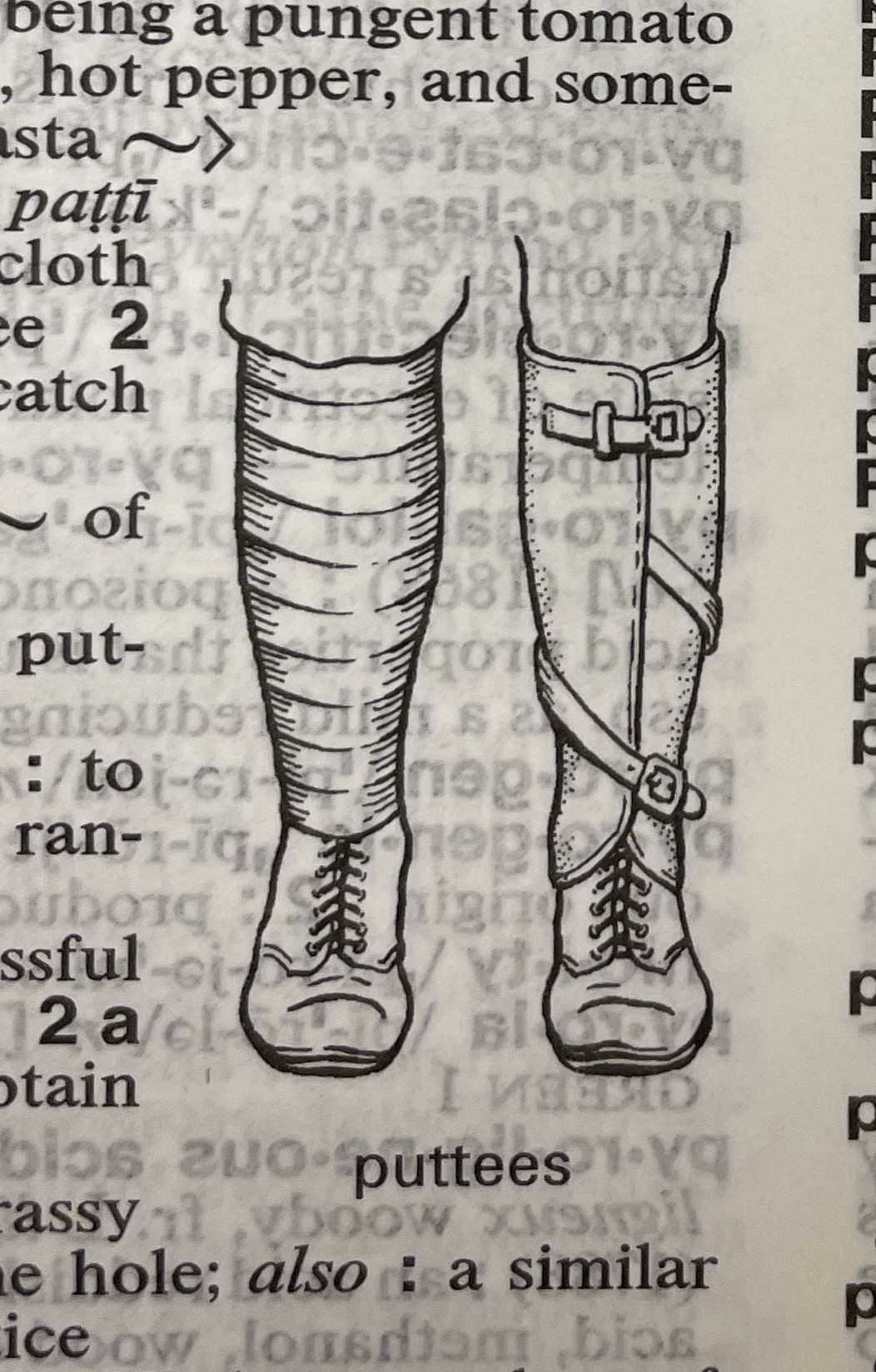 Dictionary illustration
