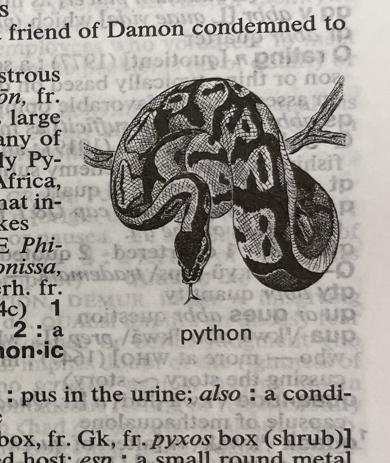 Dictionary illustration