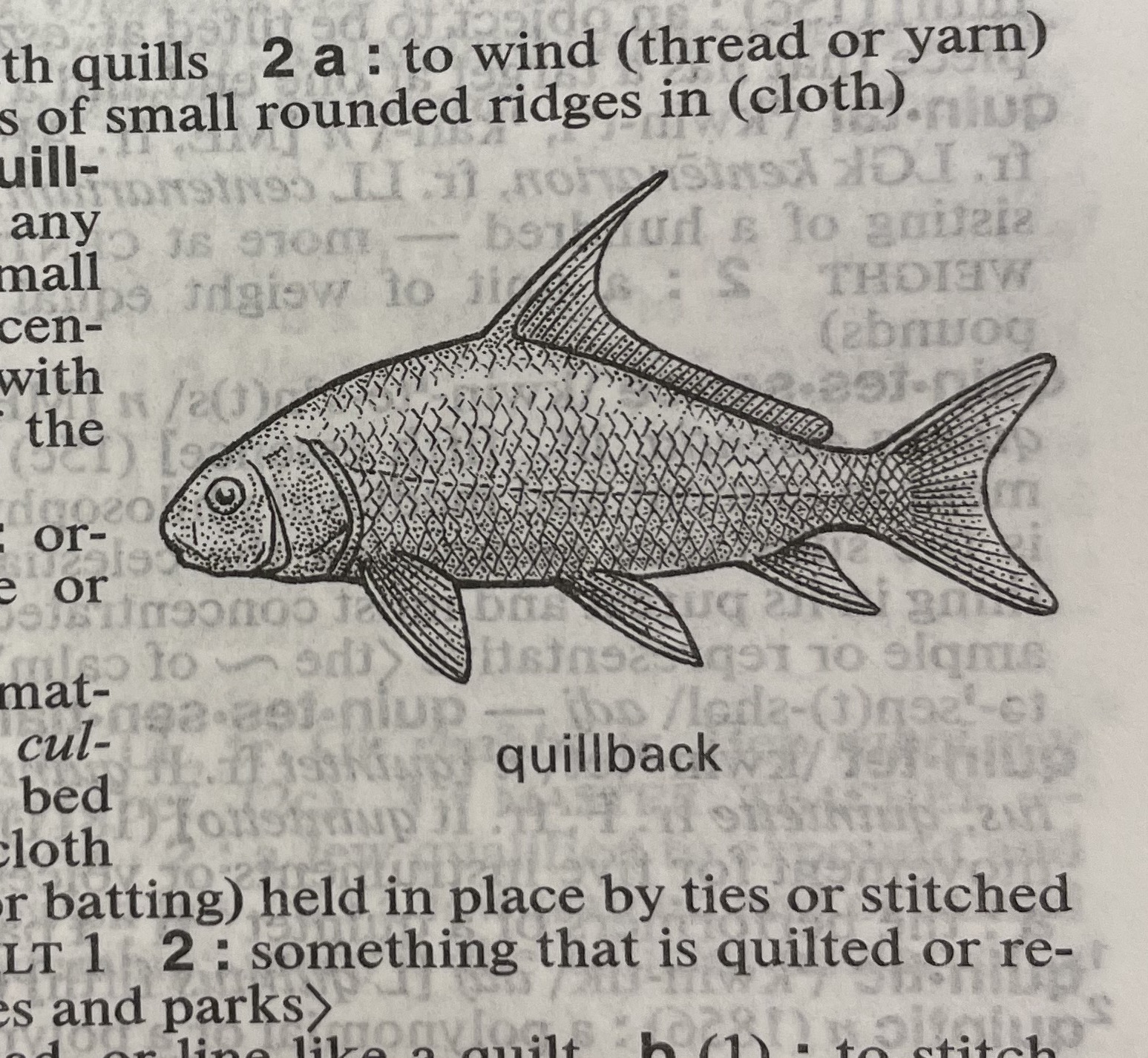 Dictionary illustration