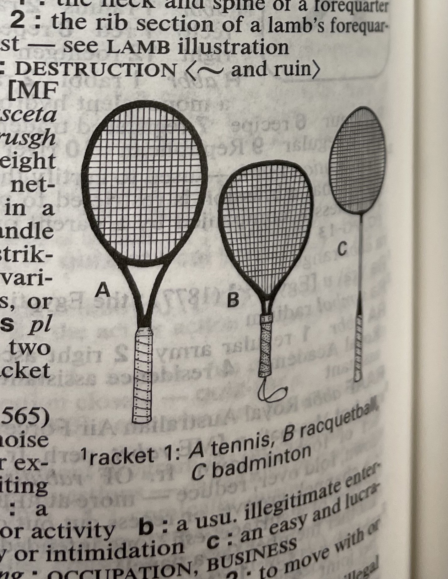 Dictionary illustration