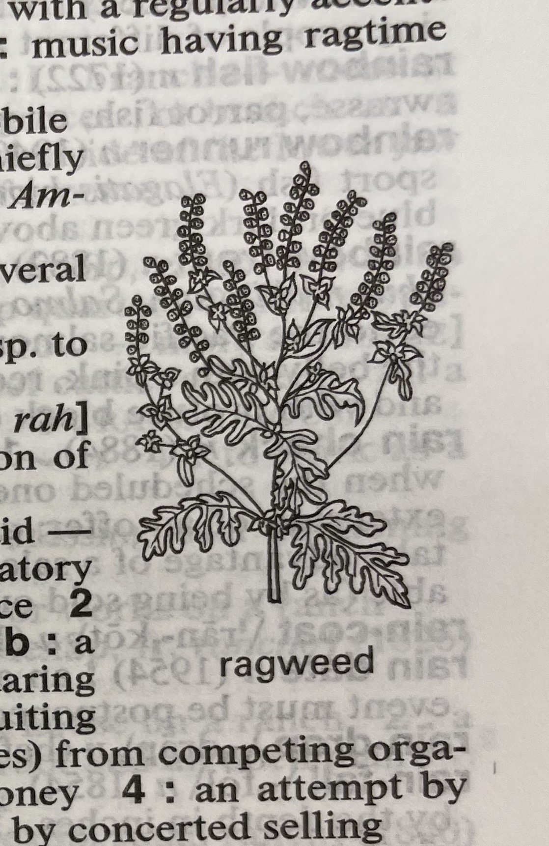Dictionary illustration