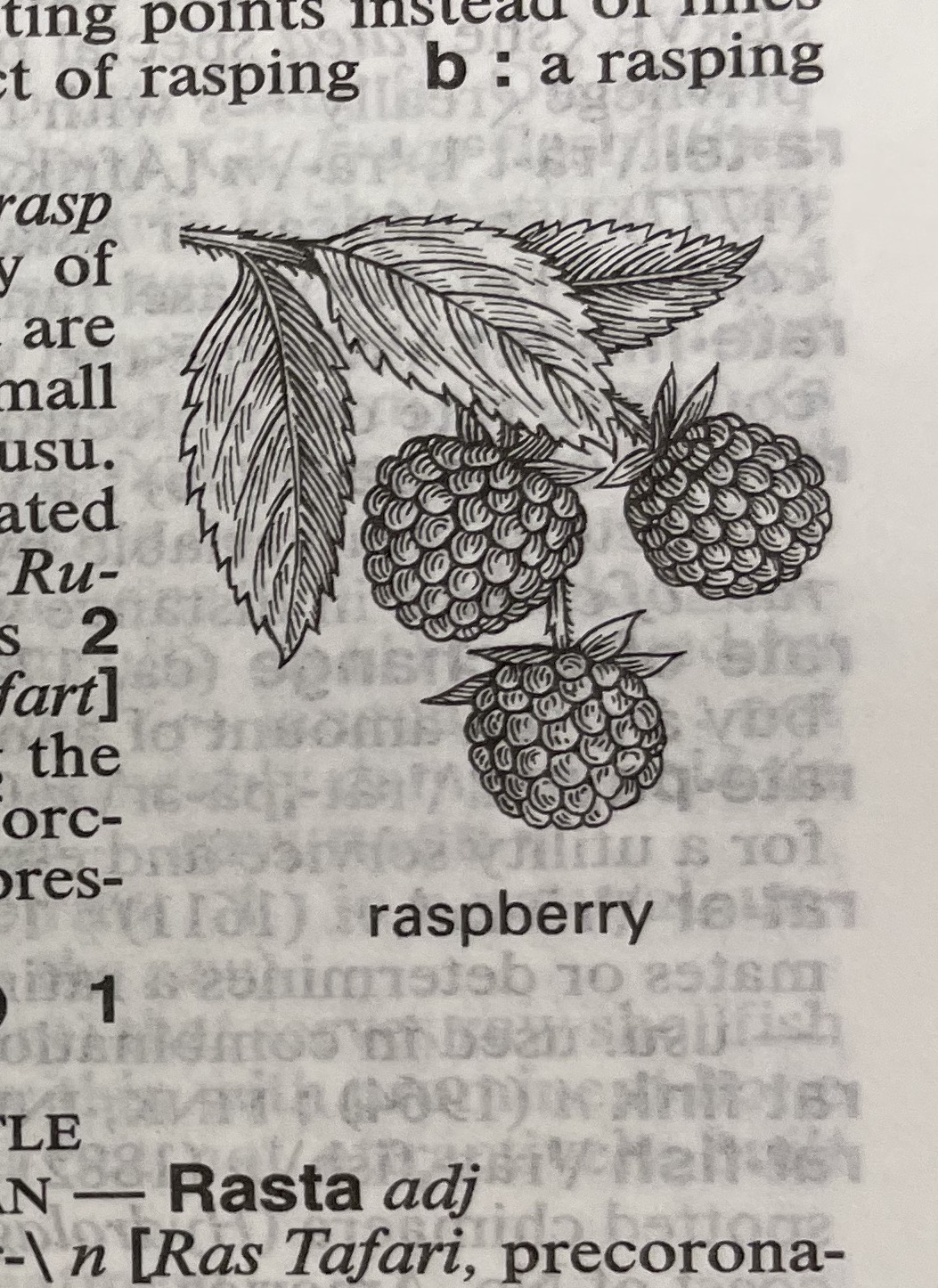 Dictionary illustration