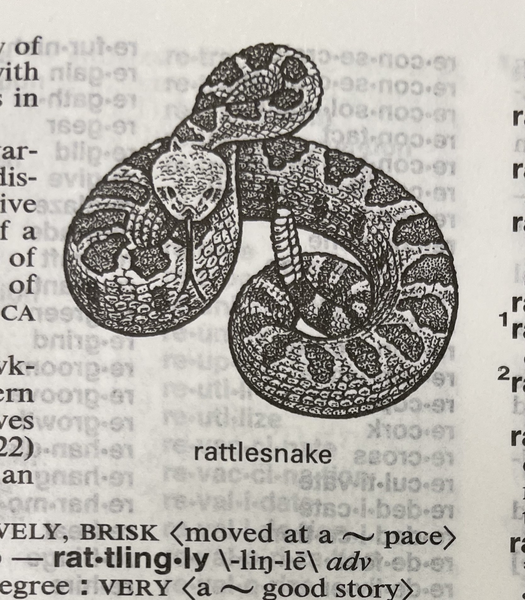 Dictionary illustration