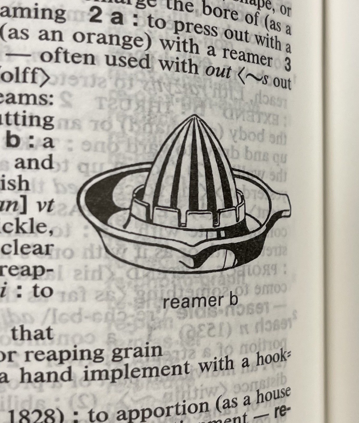 Dictionary illustration